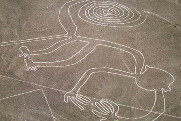 One thing's for sure - the Nazca could draw.