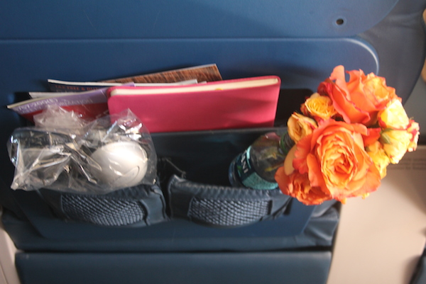 The only thing you should leave in the seat pockets are flowers and gifts. 