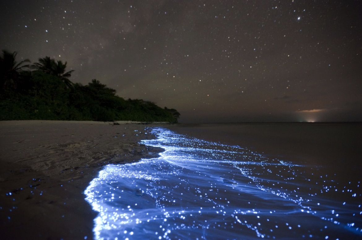 One for the list: The Sea of Stars in Vadhoo, Maldives