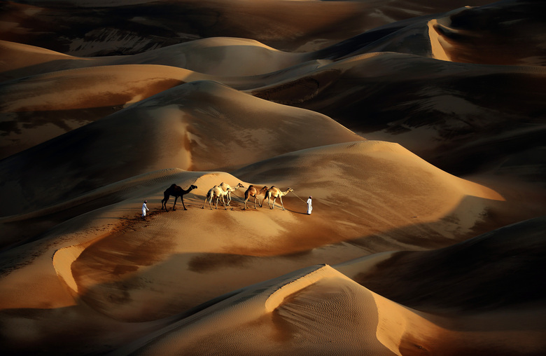 TOPSHOTS-UAE-CAMEL-DESERT-NATURE-TOURISM