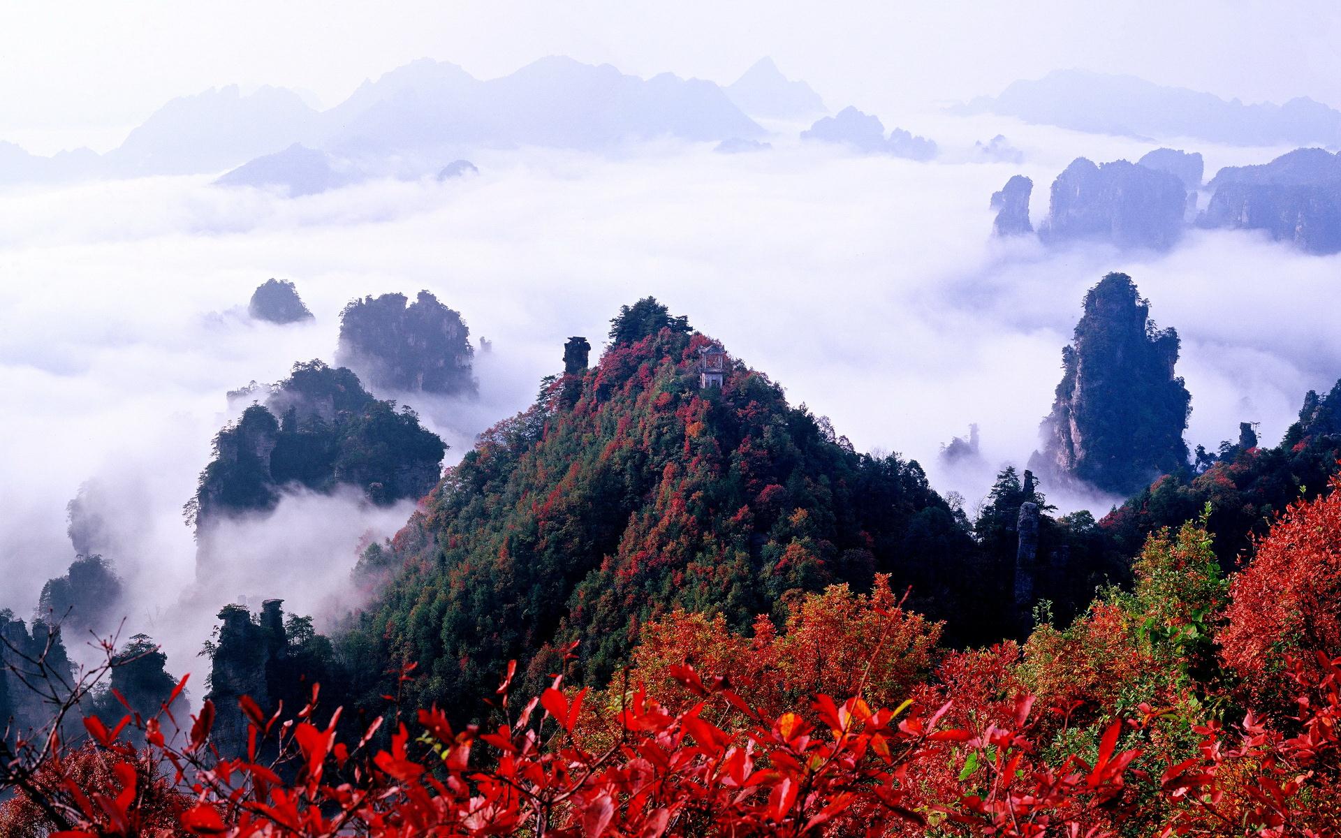 Zhangjiajie-National-Forest-Park-China-7