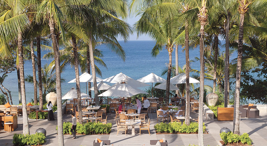 Coconut trees and coconuts to eat