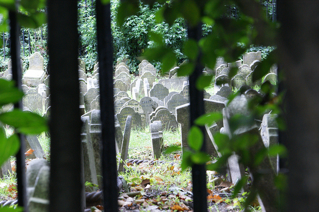 Pet Cemetery