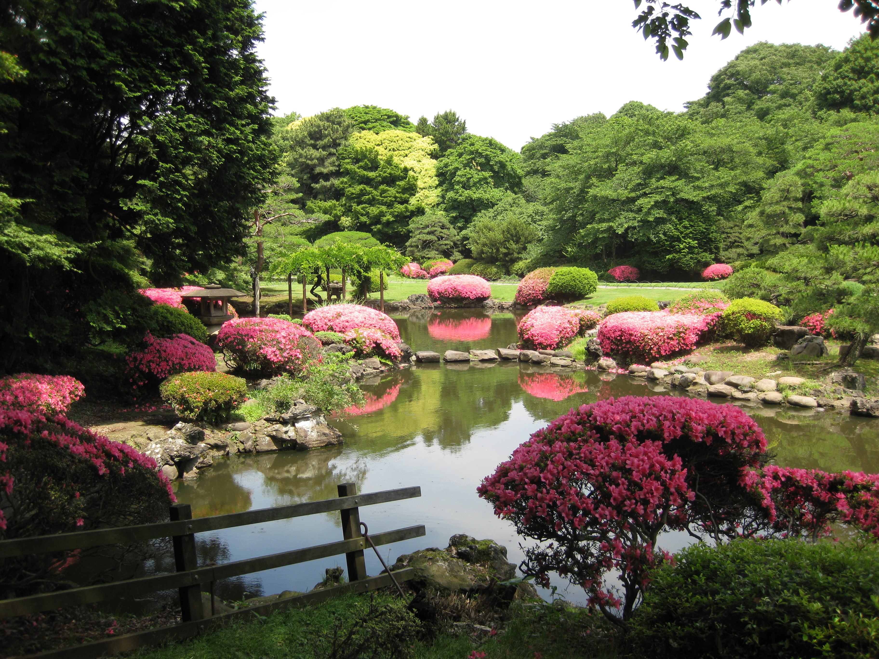 Tokyo park