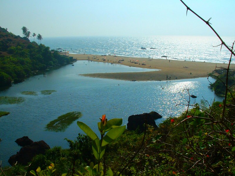 India_Goa_Arambol_Beach