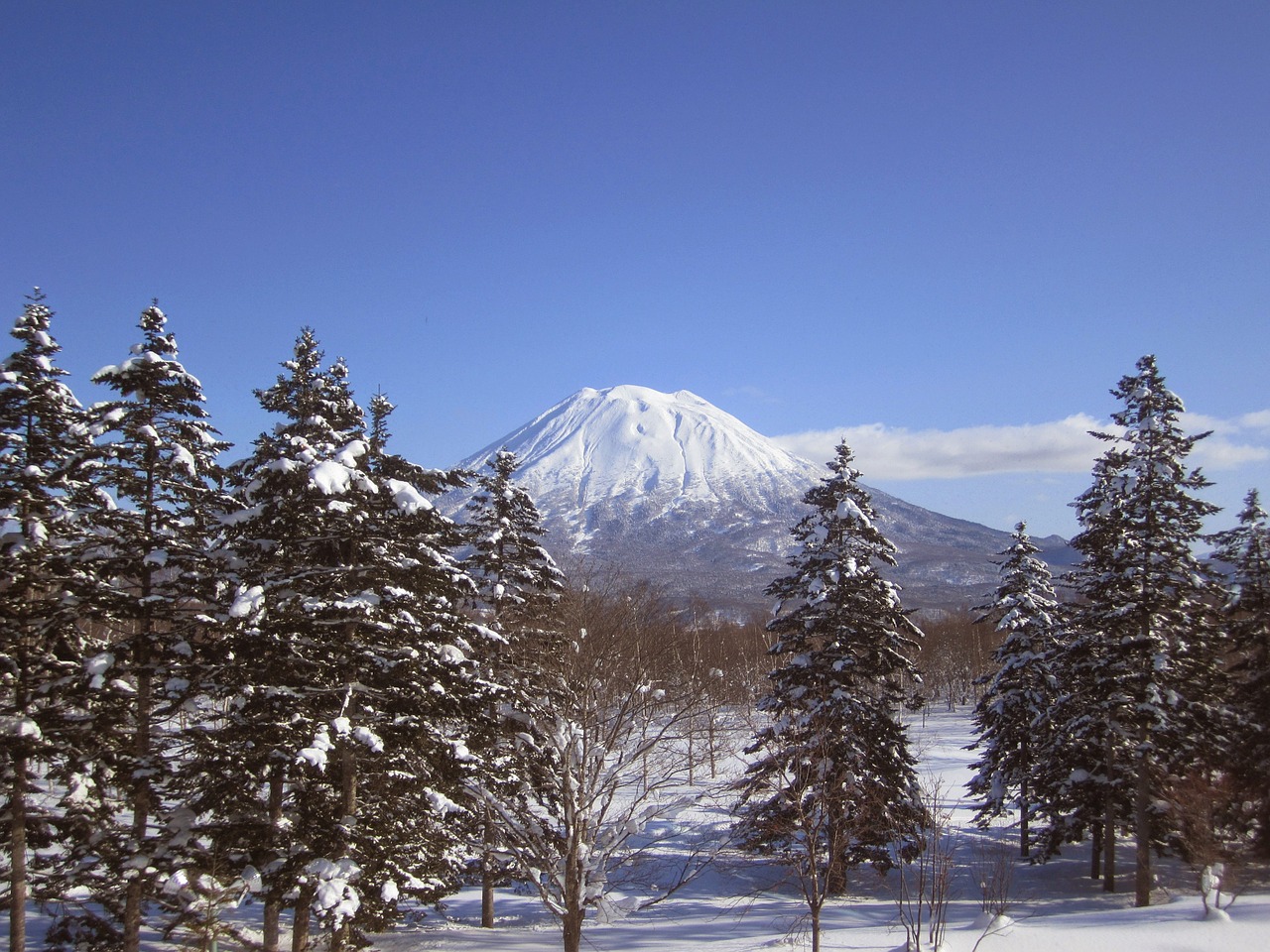 mount-yotei-846008_1280