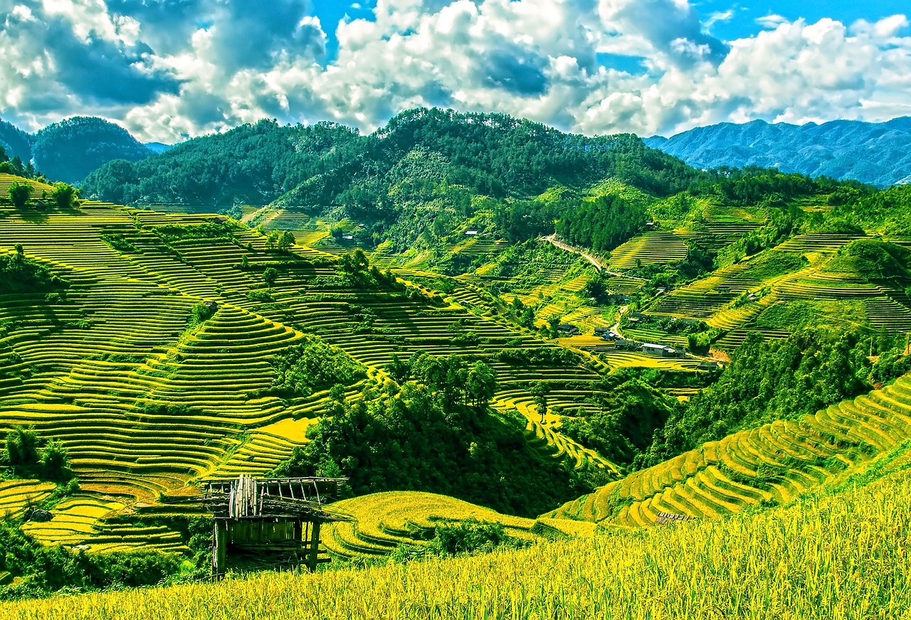 rice-terraces-164622_1280