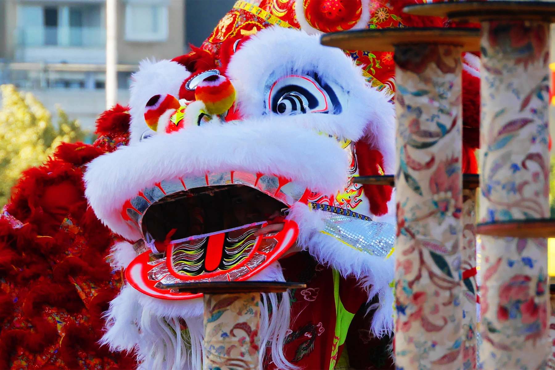 Macau | Chinese New Year 2014 Lion Dance