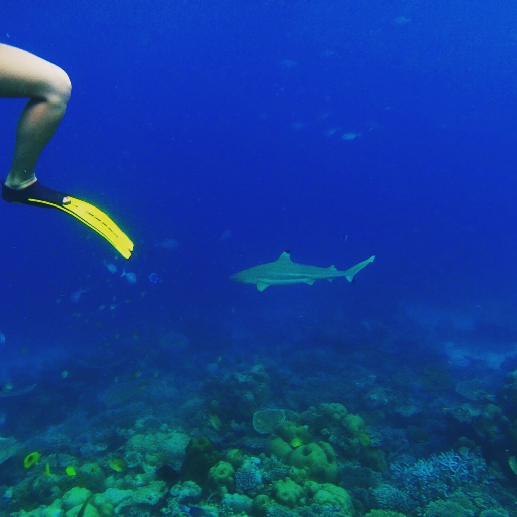 Baros_Maldives_Luxury_Resort_Paradise_House-Reef_Snorkel-3-1024x1024