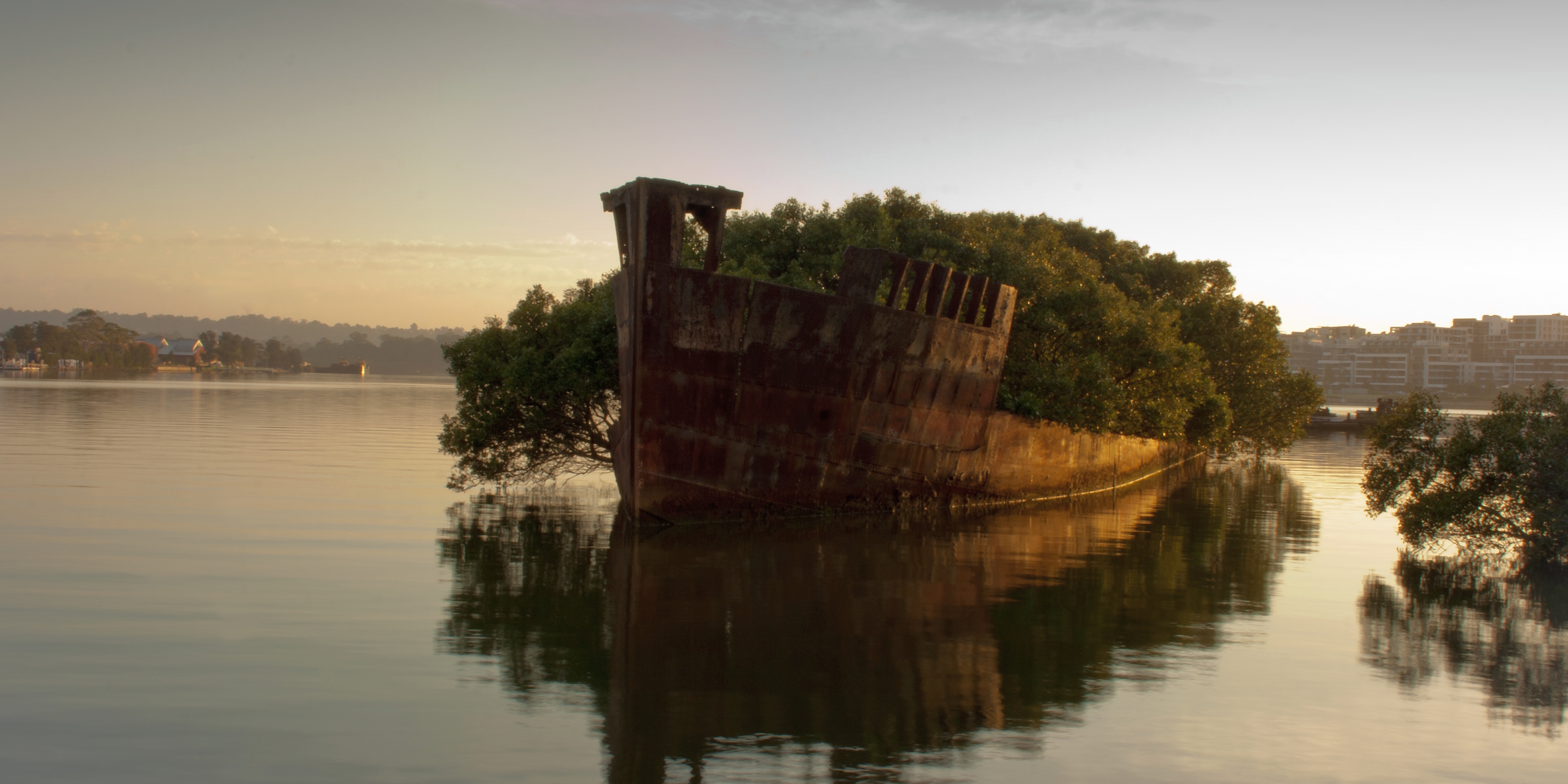 Homebush_Bay_-_SS_Ayrfield