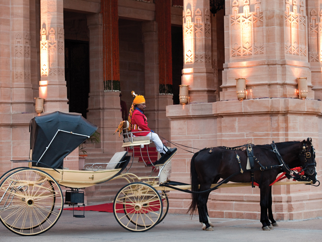 Horse-Drawn-Carriage