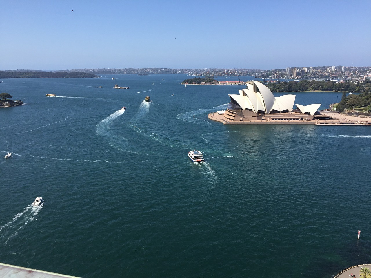 sydney-harbor-991981_1280