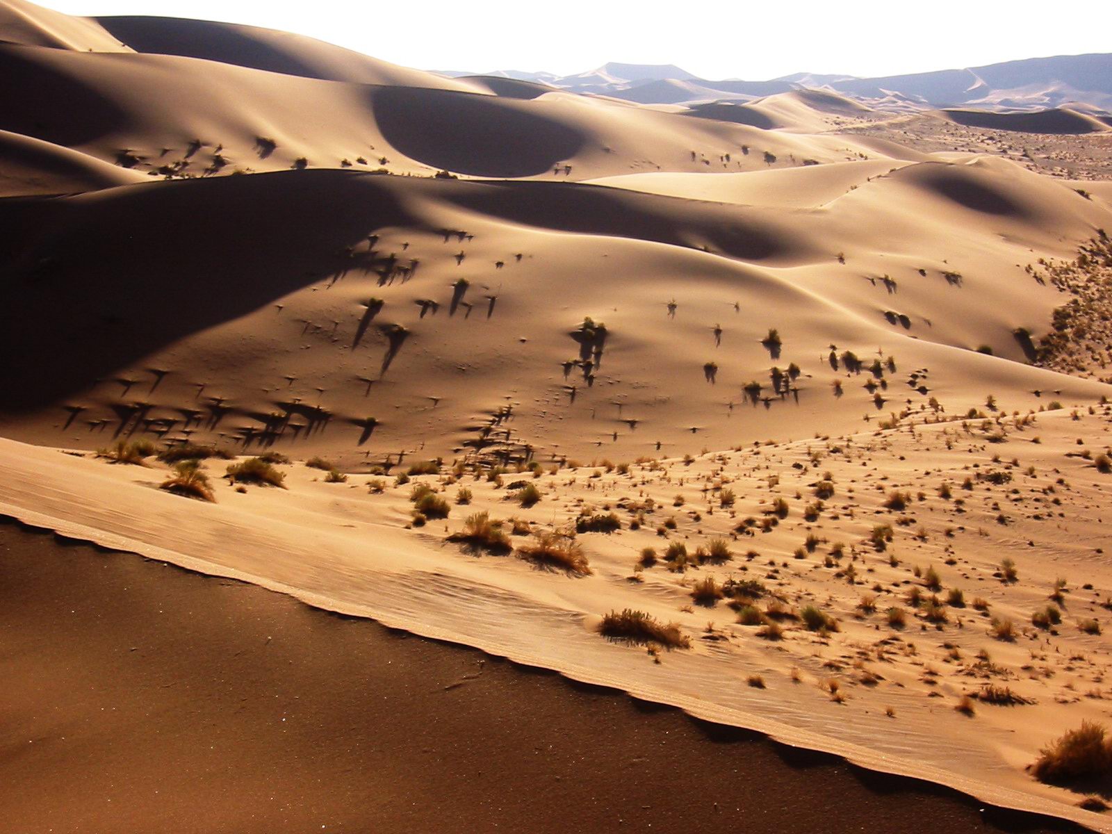 oldest desert in namibia