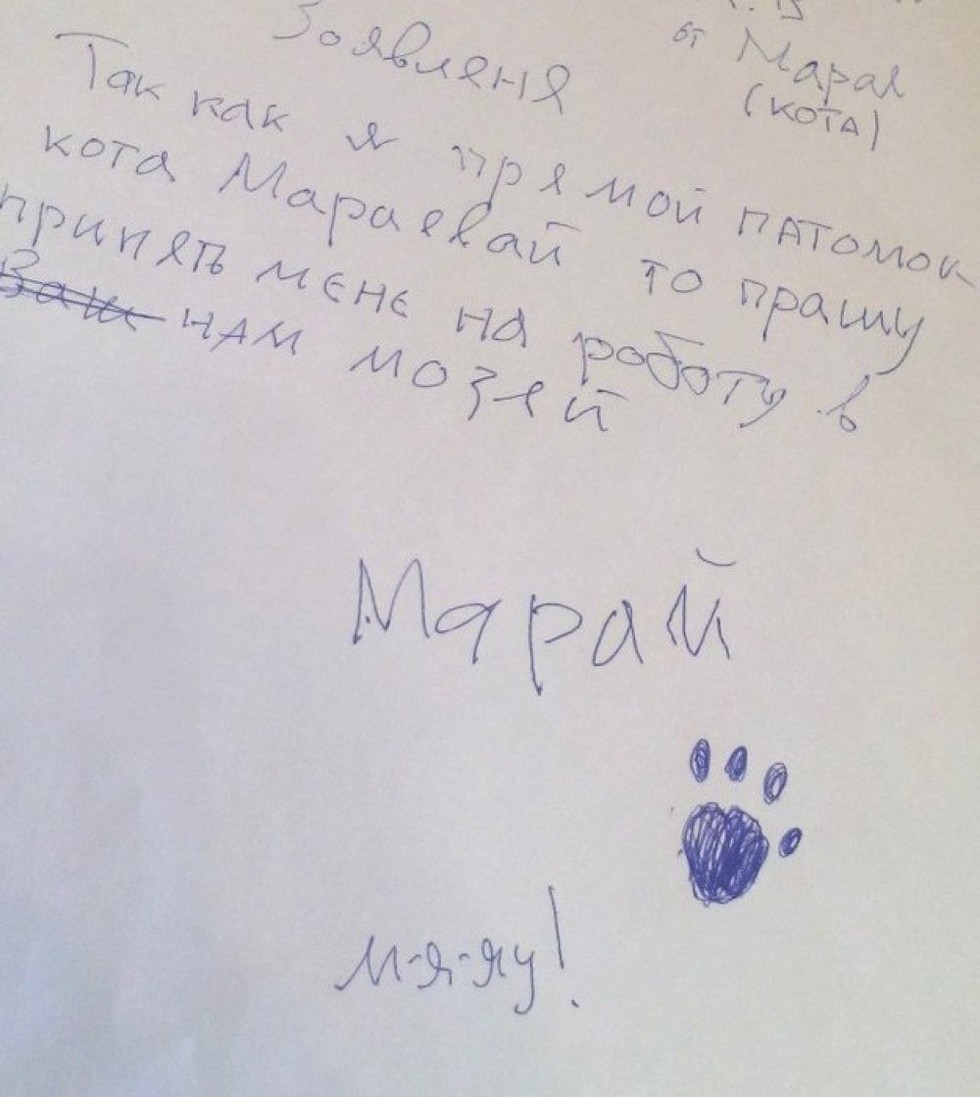 As I am a direct relative of (Anna) Maraeva, I ask you to give me a job in your museum. Maray the Cat.