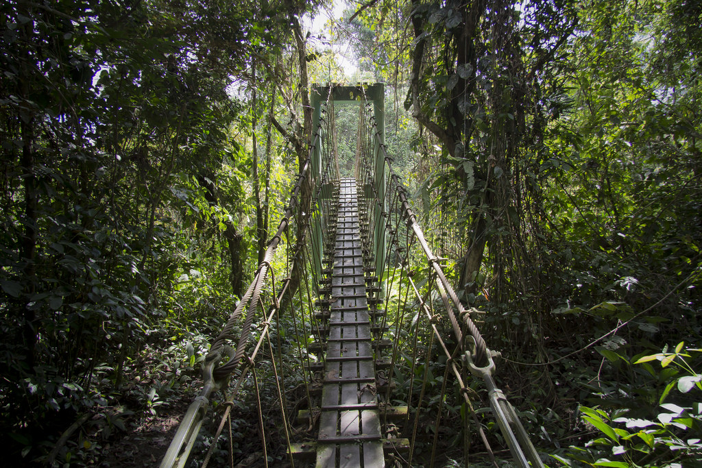 Watch your step at Gunung Mulu National Park