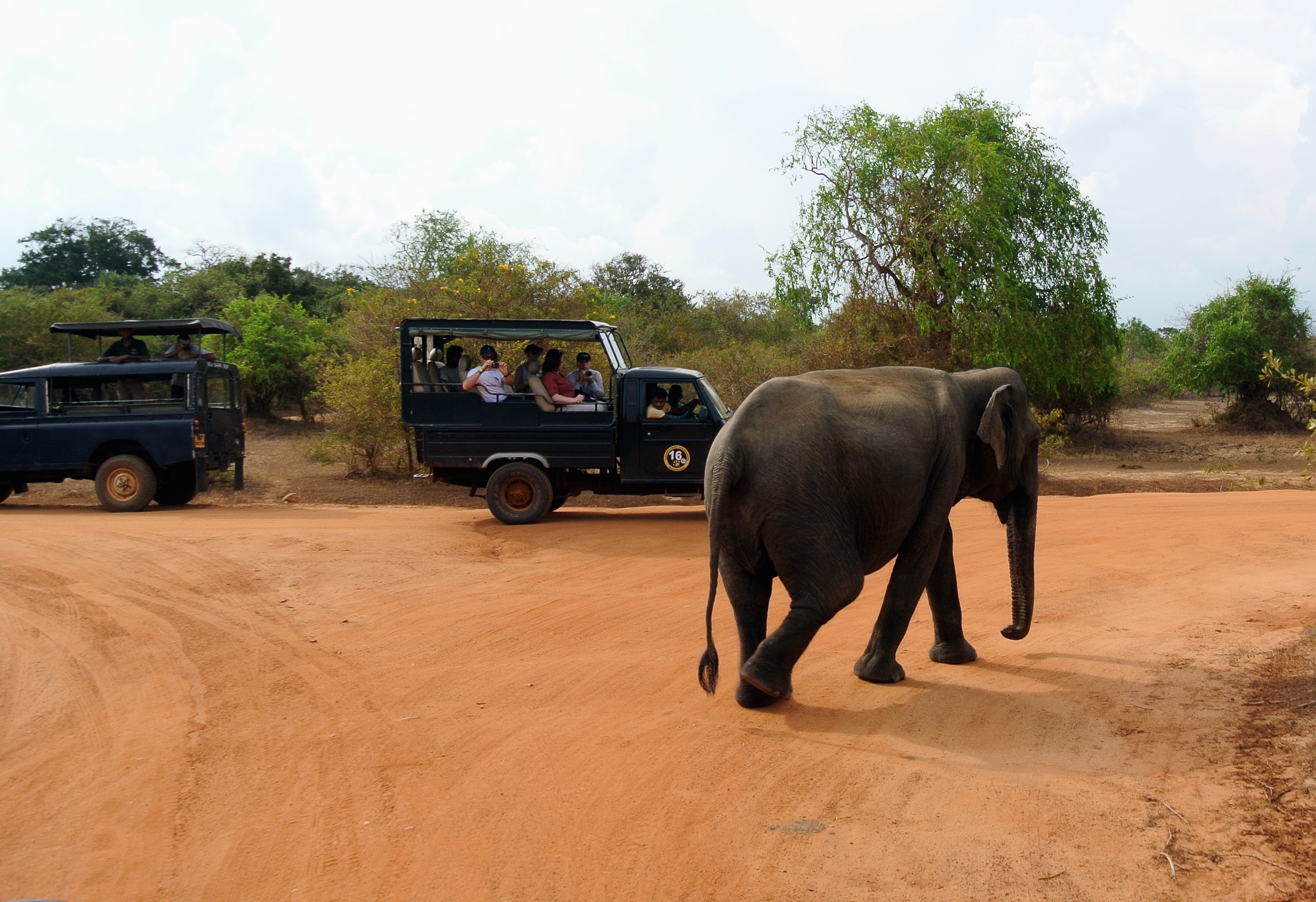 Tourism_Yala_National_Park