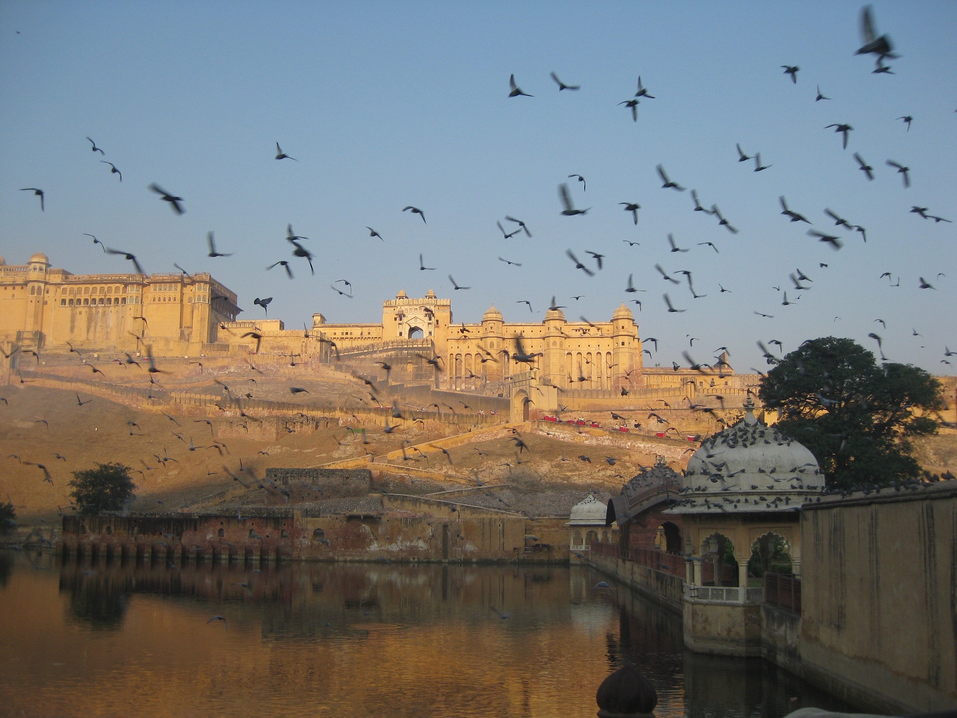 jaipur-1317152_1920