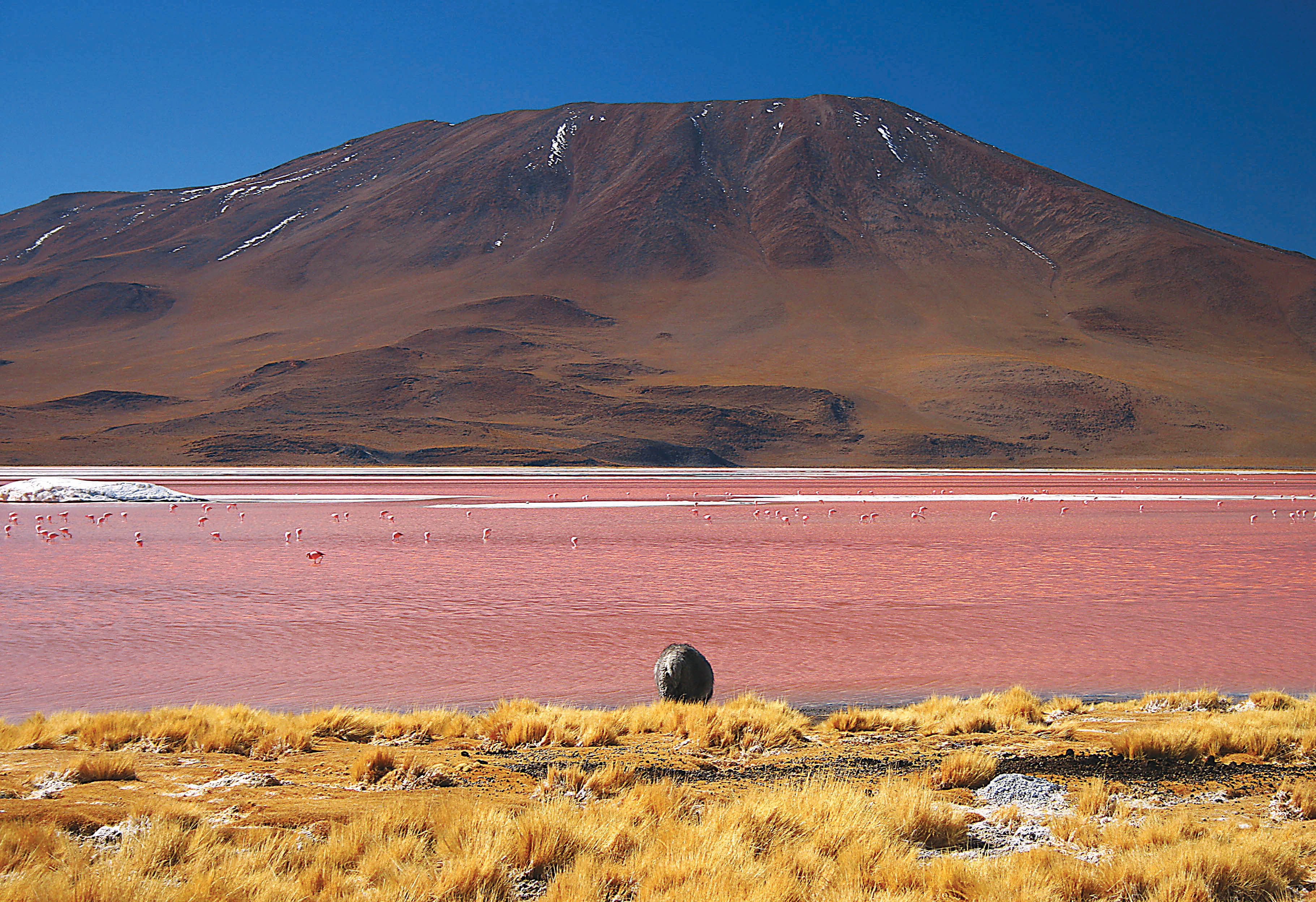 10 Pink Lakes From Around the World - WorldAtlas