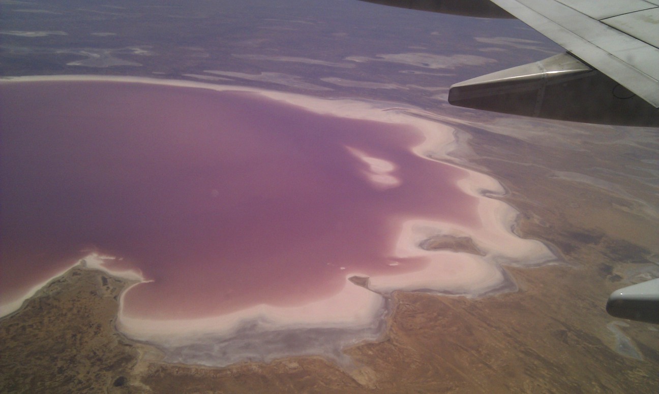 Lake Hillier: Pink Australian lake gets its colour from red and purple  microbes