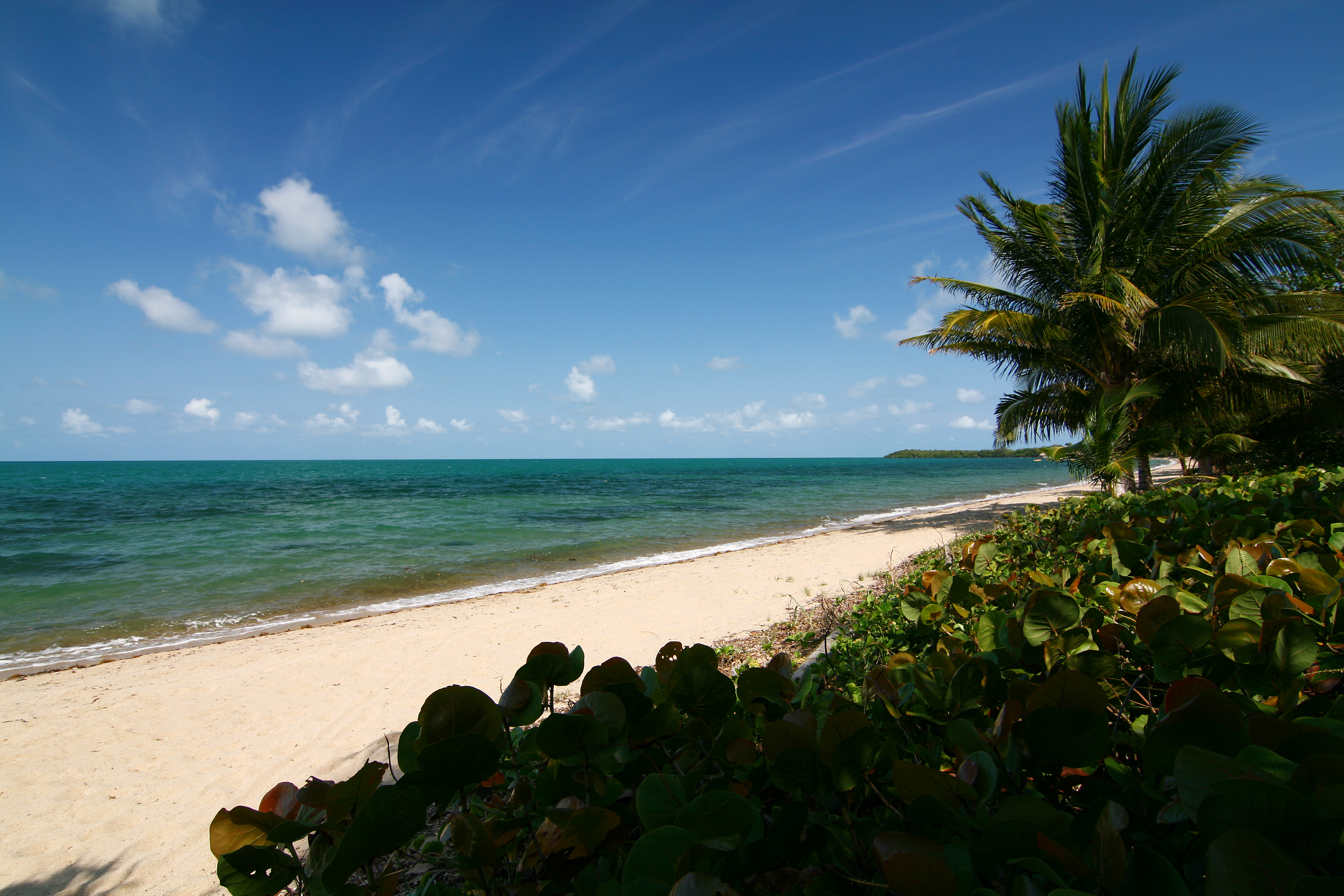 Almond Beach