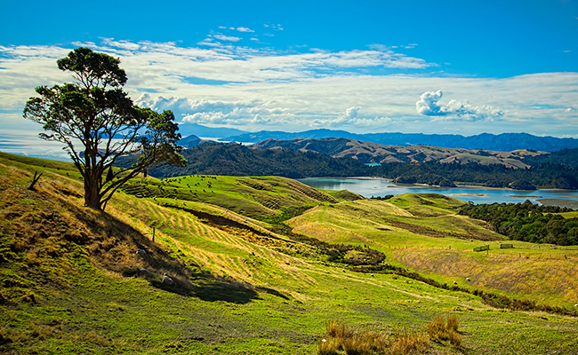 coromandel