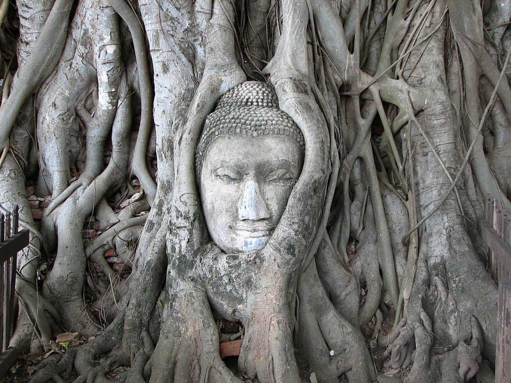 1024px-thailand_06_-_10_buddha_head_at_ayuthaya_158620283