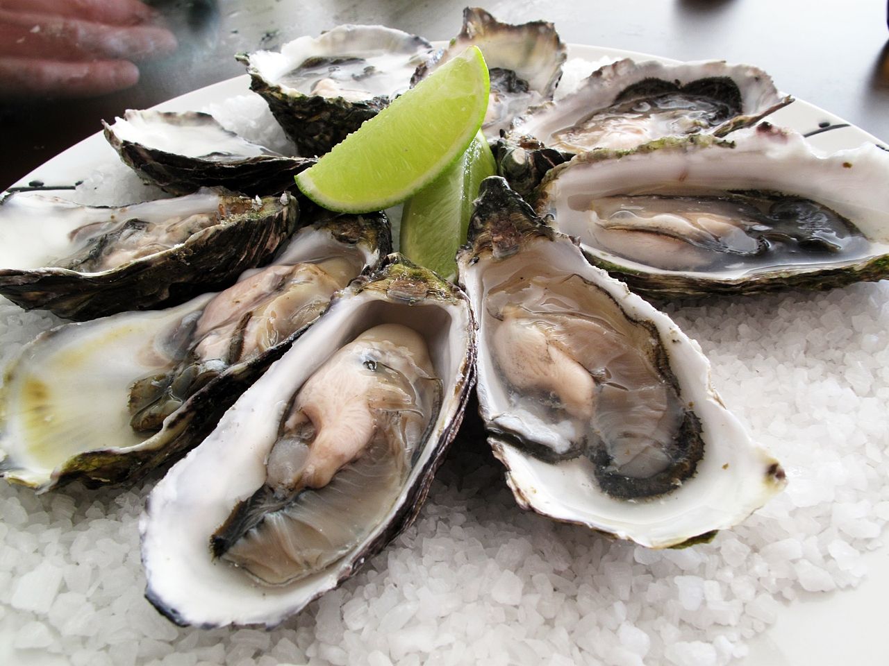 1280px-pacific_oysters