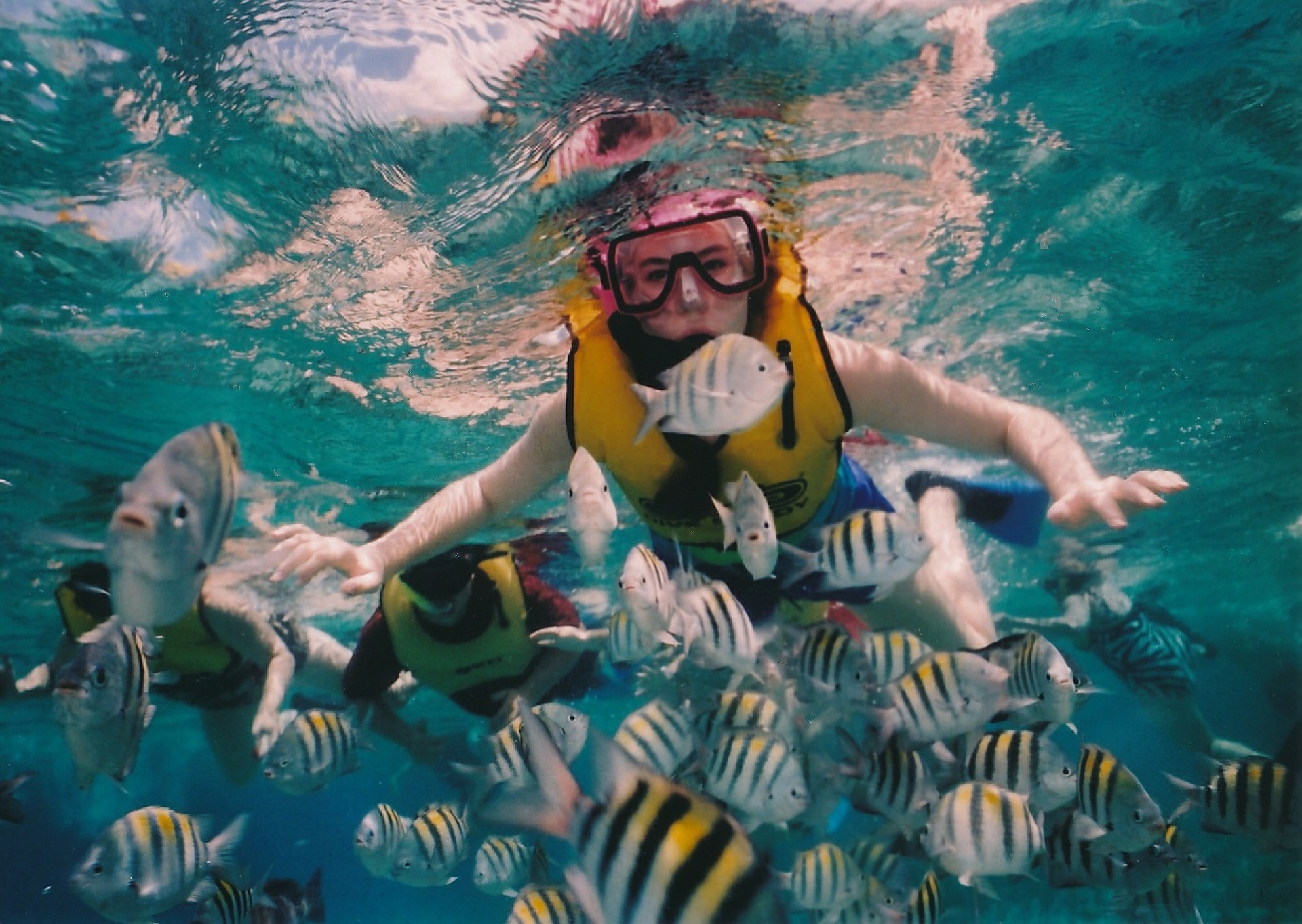 reef-snorkeling-377390_1920