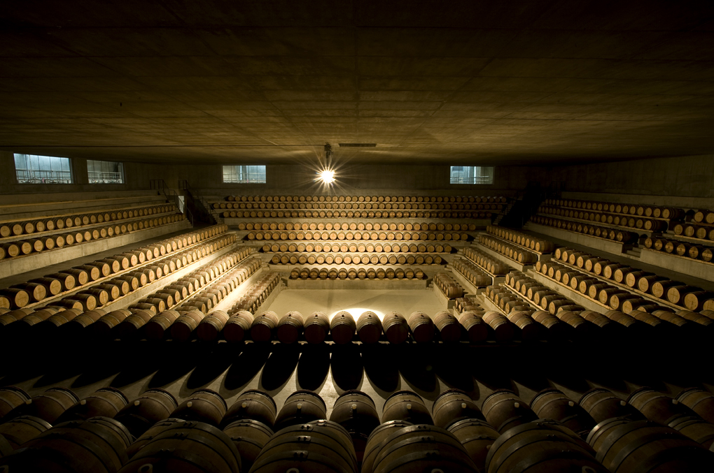 Cantina Rocca di Frassinello ( architetto Renzo Piano) Le barriques