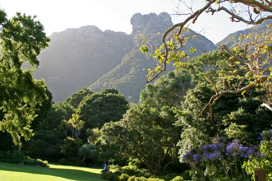 kirstenbosch_national_botanical_gardens_-_panoramio_-_frans-banja_mulder_1