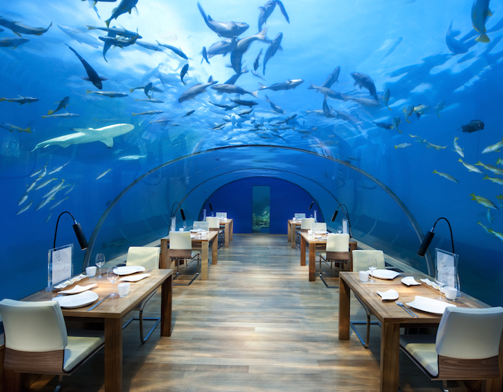 conrad-maldives-ithaa-undersea-restaurant